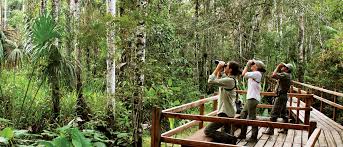 Turismo y sustentabilidad