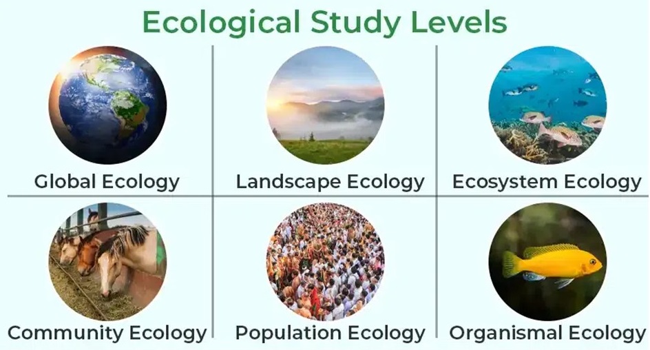 ECOLOGÍA I