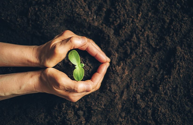 Desarrollo Sustentable MCA 2025