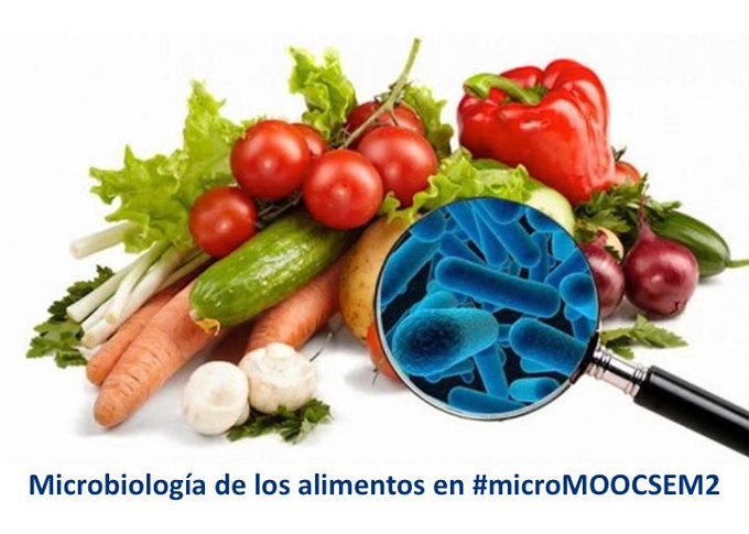 MICROBIOLOGÍA DE LOS ALIMENTOS 1D