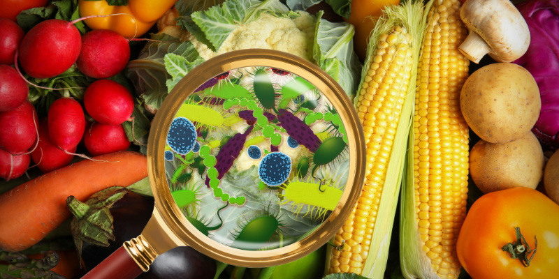 MICROBIOLOGÍA DE LOS ALIMENTOS 1E
