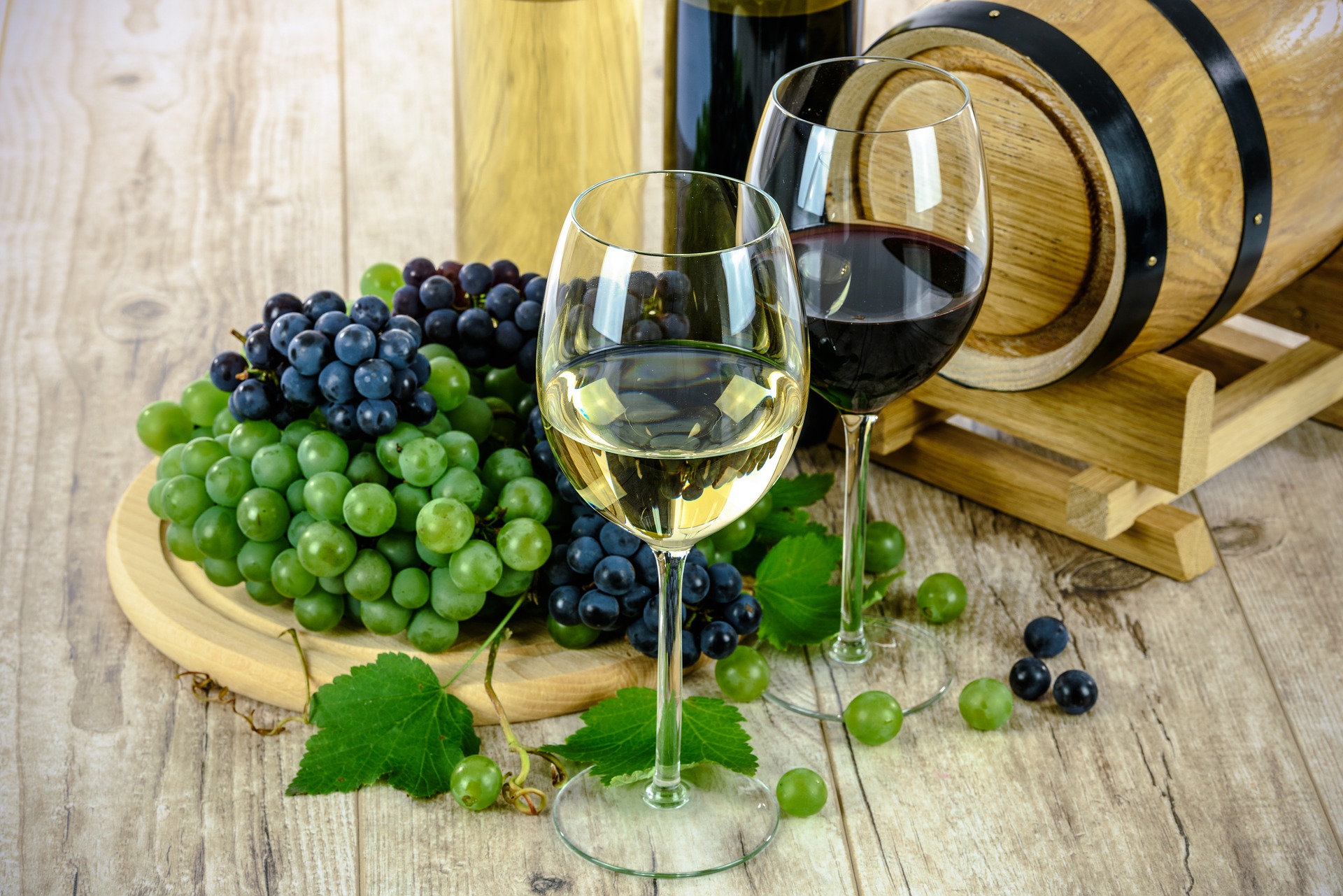 Enología y Vitivinicultura 5 "E"