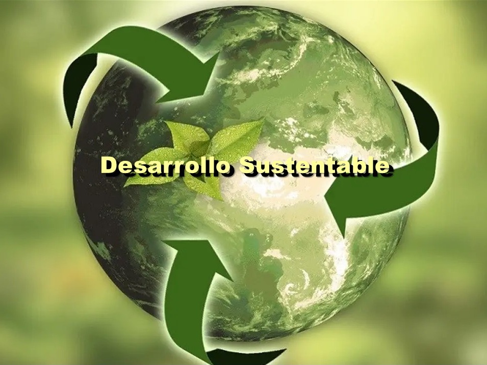 Desarrollo Sustentable 6A