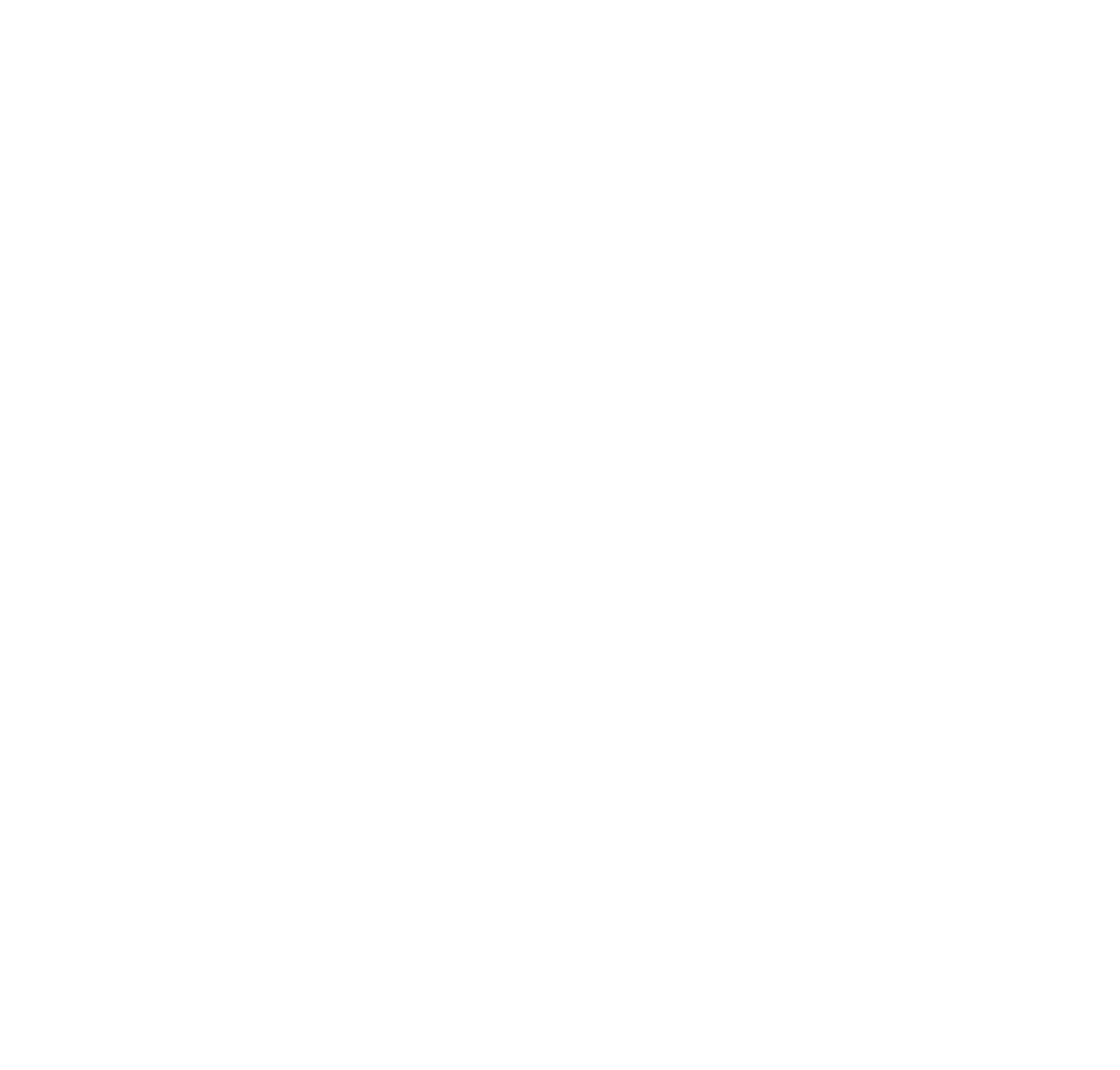 CURSO DE VERANO 2026 DIS