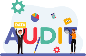 AUDITORIA INFORMÁTICA_VERANO 2026