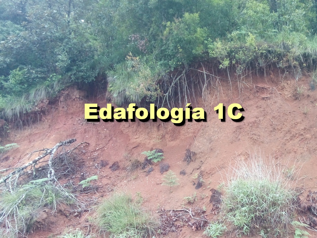 EDAFOLOGÍA 1C