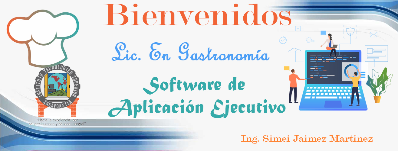 Software de Aplicación Ejecutivo 1E S
